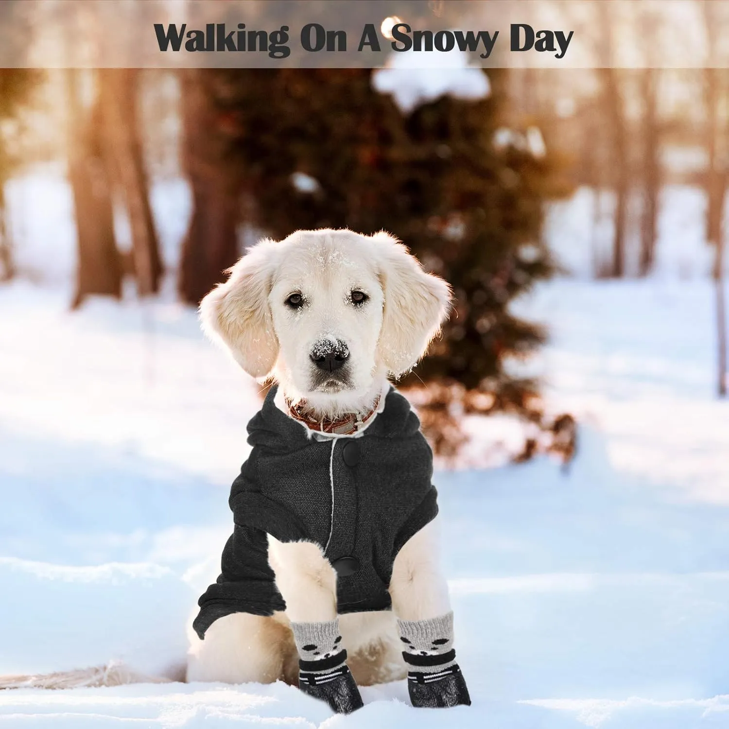 Hooded Dog Coat and Dog Cat Boots Shoes Socks Stylish Puppy Clothes Pet Jacket Waterproof Pet Shoes for Small Puppy (Black, S)