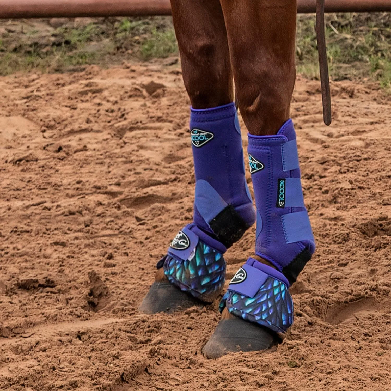 Professional's Choice 2XCOOL Sports Medicine Horse Boots | Protective & Breathable Design for Ultimate Comfort & Durability in Active Horses | Value 4 Pack | Small, Medium, Large