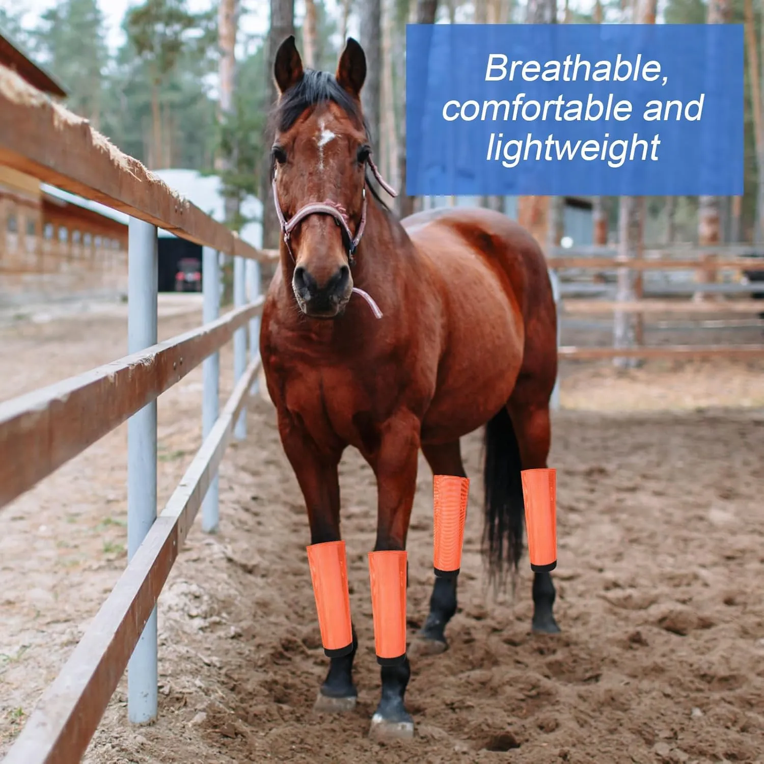 Set of 8 Mesh Fly Boots for Horse Breathable Mesh Horse Boots Protective Loose Wraps Adjustable for Preventing Legs Reduces Flies and Mosquitoes Bites (Blue, Orange,M)