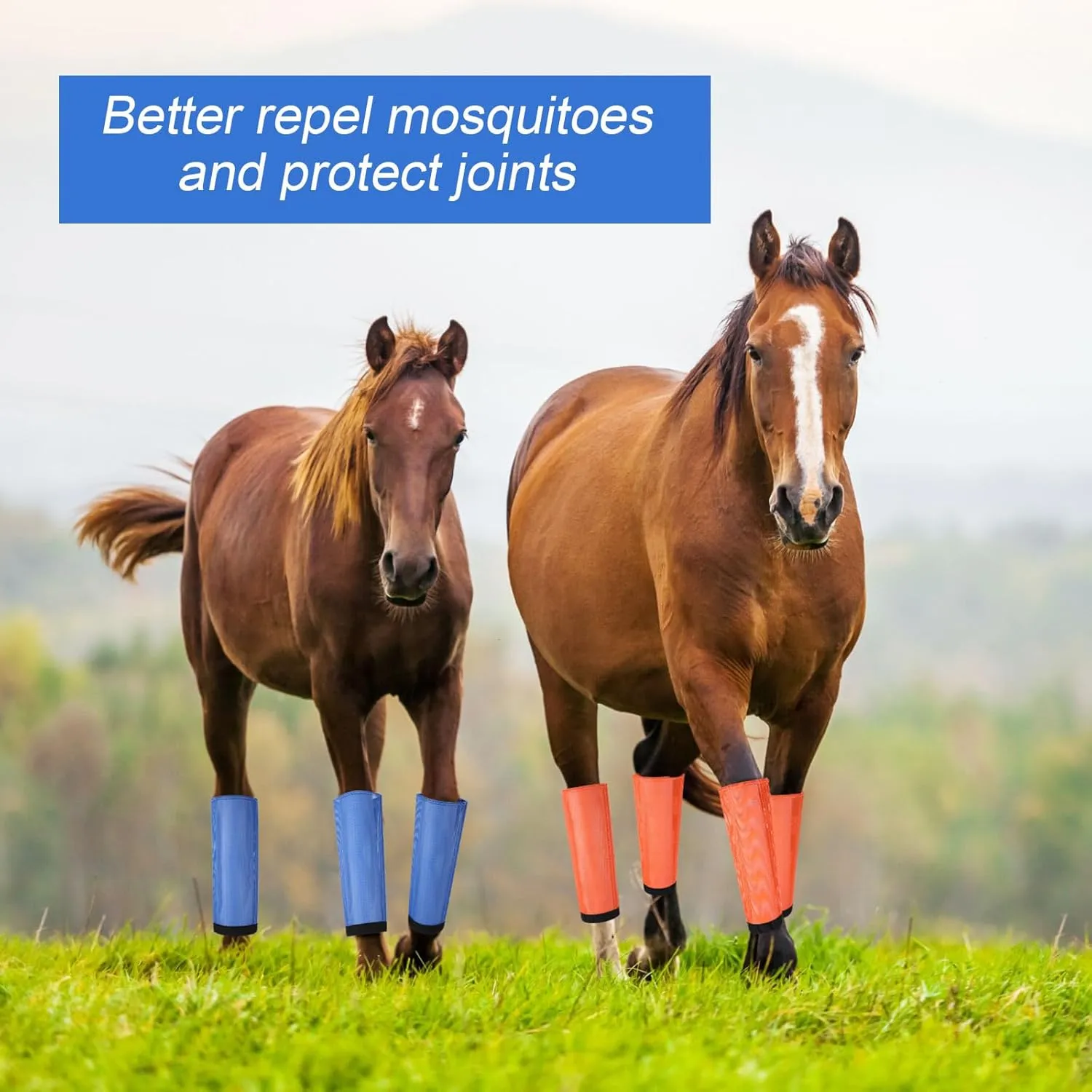 Set of 8 Mesh Fly Boots for Horse Breathable Mesh Horse Boots Protective Loose Wraps Adjustable for Preventing Legs Reduces Flies and Mosquitoes Bites (Blue, Orange,M)